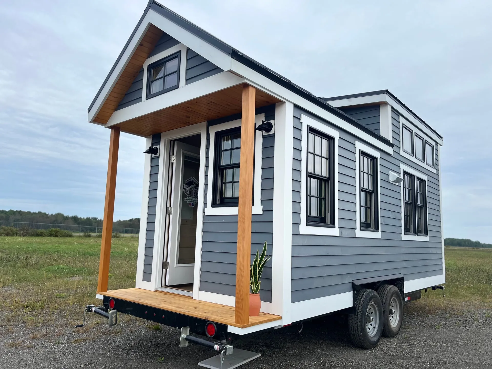 Chickadee — photo 6